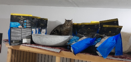 Centrum 1. pomoci pro kočky, z. s.